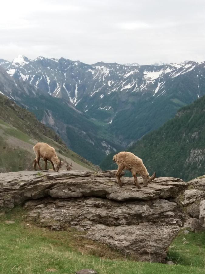 Vacances à la montagne Saint-Julien-en-Champsaur Extérieur photo