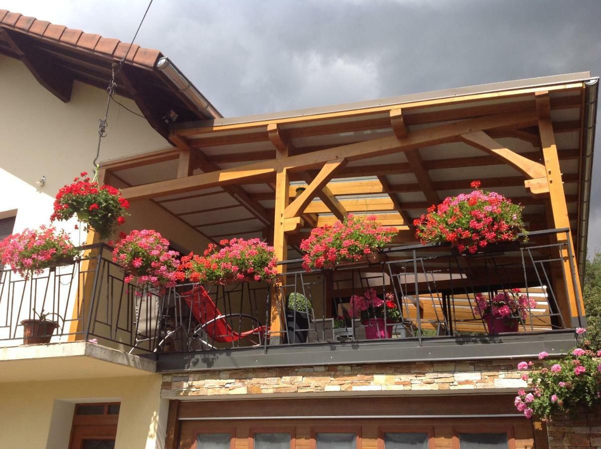 Vacances à la montagne Saint-Julien-en-Champsaur Extérieur photo